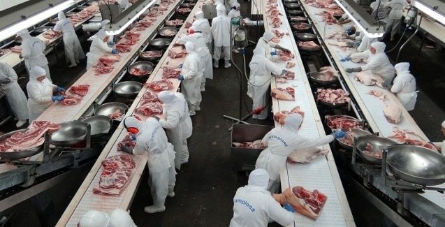 Empregos formais: Agropecuária mantém saldo positivo pelo 8º ano consecutivo