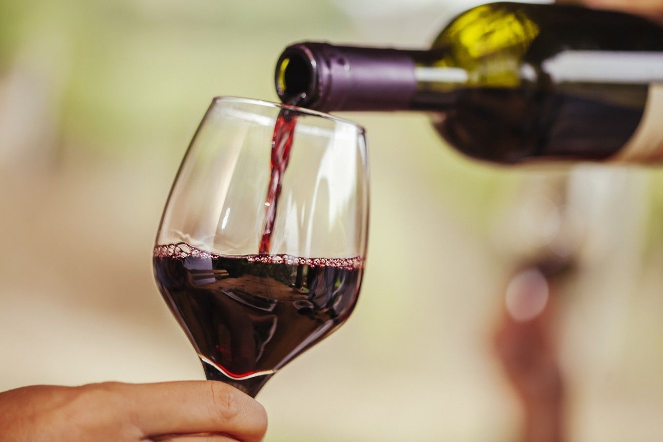 Brasil-Portugal fortalecem laços bilaterais para a promoção e cooperação do vinho e produtos vitivinícolas