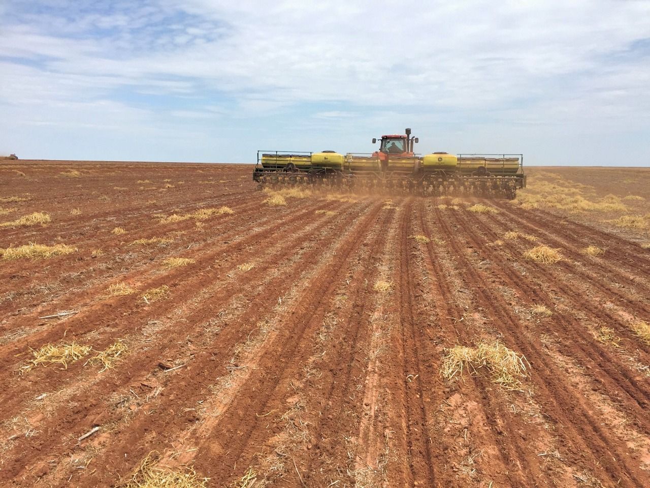 Semeadura de soja avança em Mato Grosso, mas ainda está atrasada em relação à safra anterior