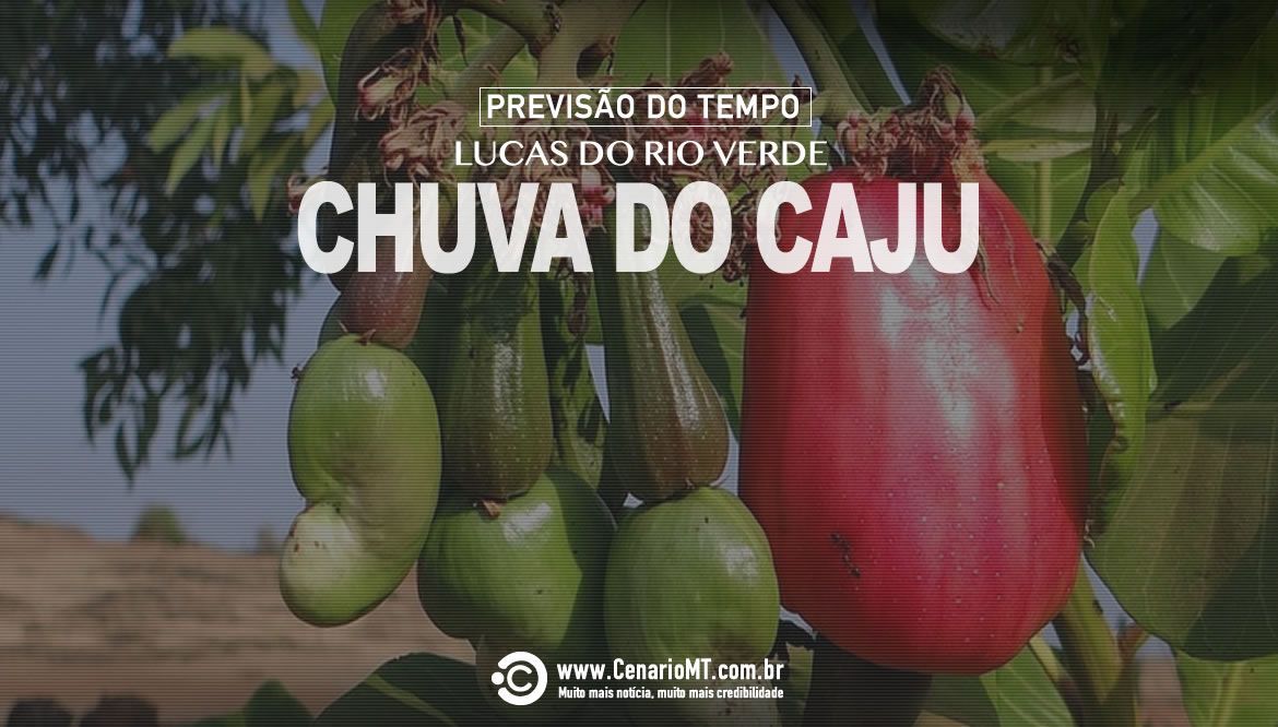 Luverdenses esperam ansiosamente pela “chuva do caju”
