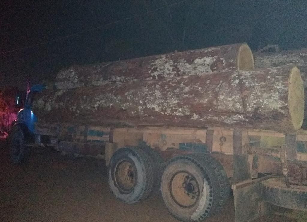 Motorista é preso com cinco toras de madeira de origem ilícita em Mato Grosso