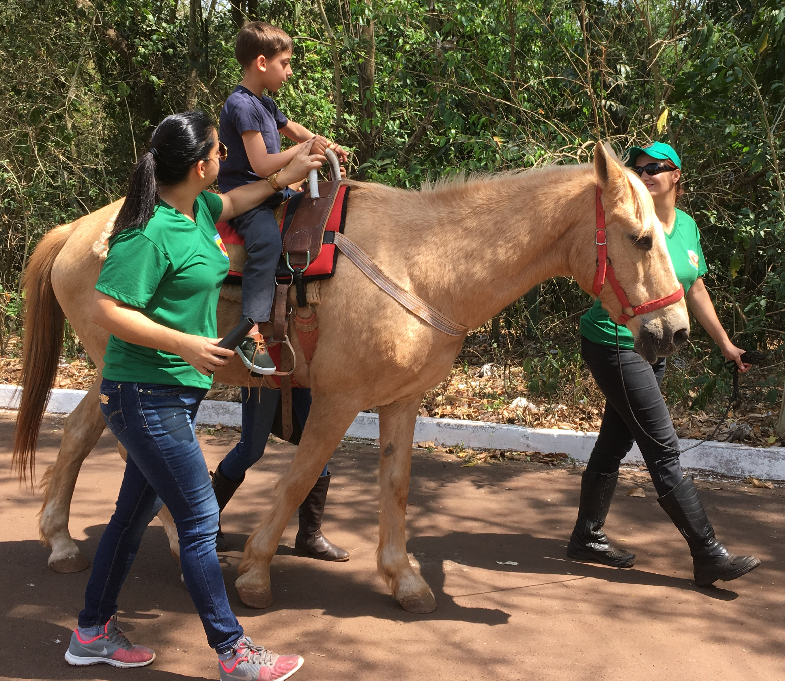 Guia de Transporte Animal terá custo zero às APAE’s em MT