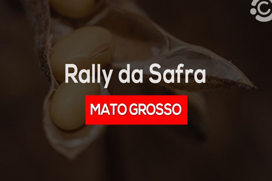 Rally da Safra