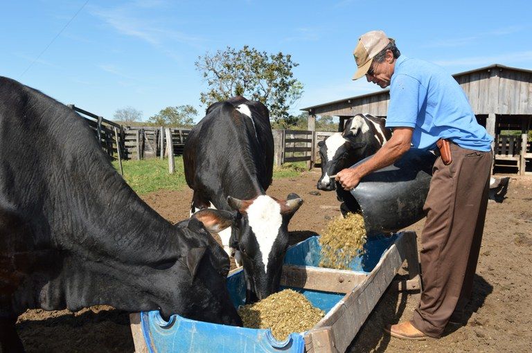 Programa de Aquisição de Alimentos vai levar leite a famílias de baixa renda
