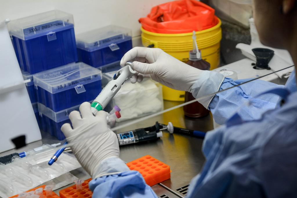 São Paulo registra mais de 11 mil novos casos de covid-19 em 24 horas