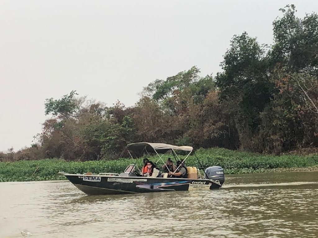 Patrulhamento reforça busca de animais feridos no Pantanal