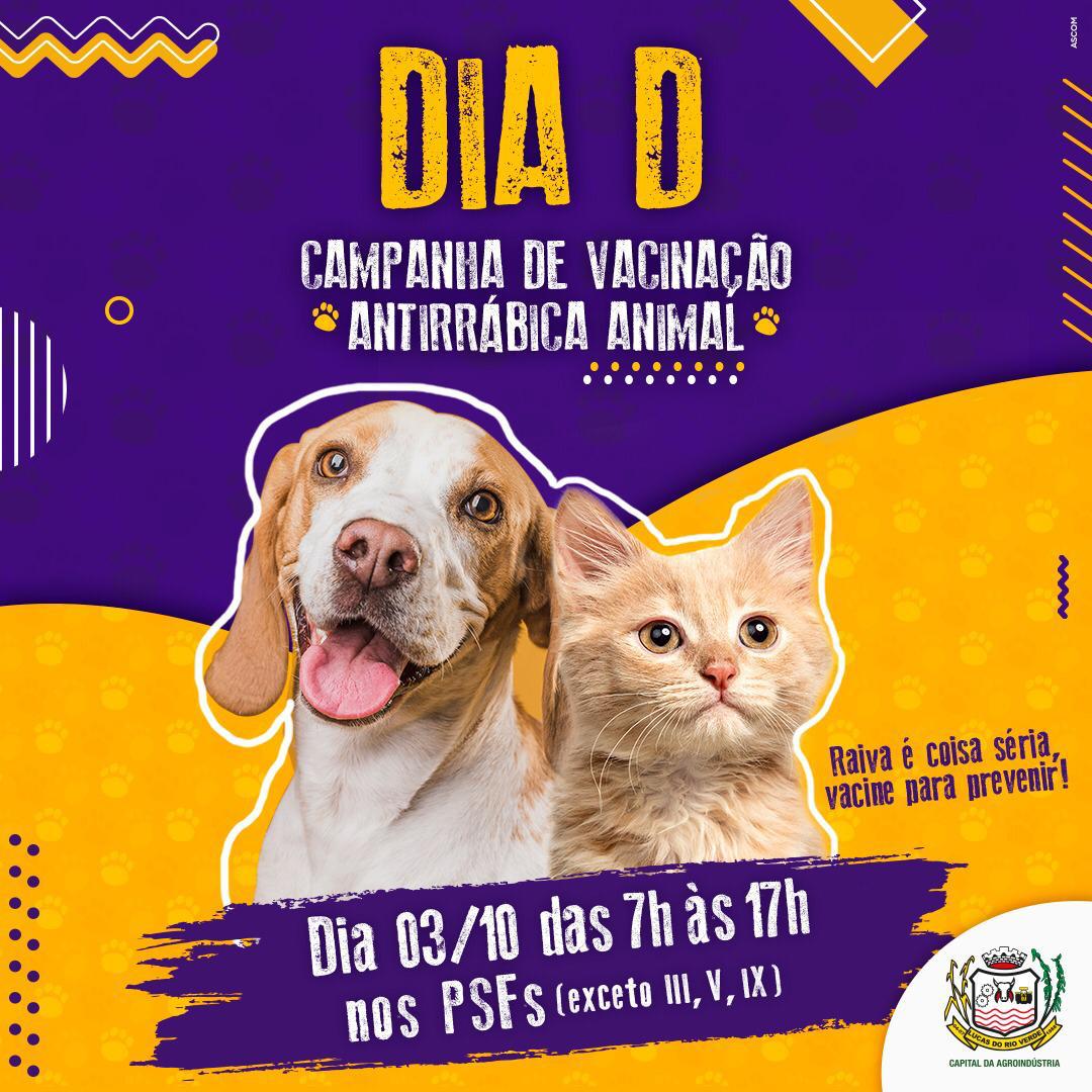 Vacinação antirrábica será realizada no dia 3 de outubro em Lucas do Rio Verde