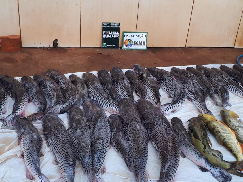 Batalhão Ambiental e Sema apreendem 135 quilos de pescado em Pedra Preta