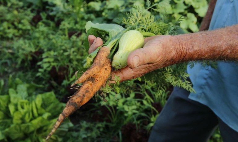 Mais de 22 mil agricultores familiares foram beneficiados pelo PAA 2020 12 30 10:53:16