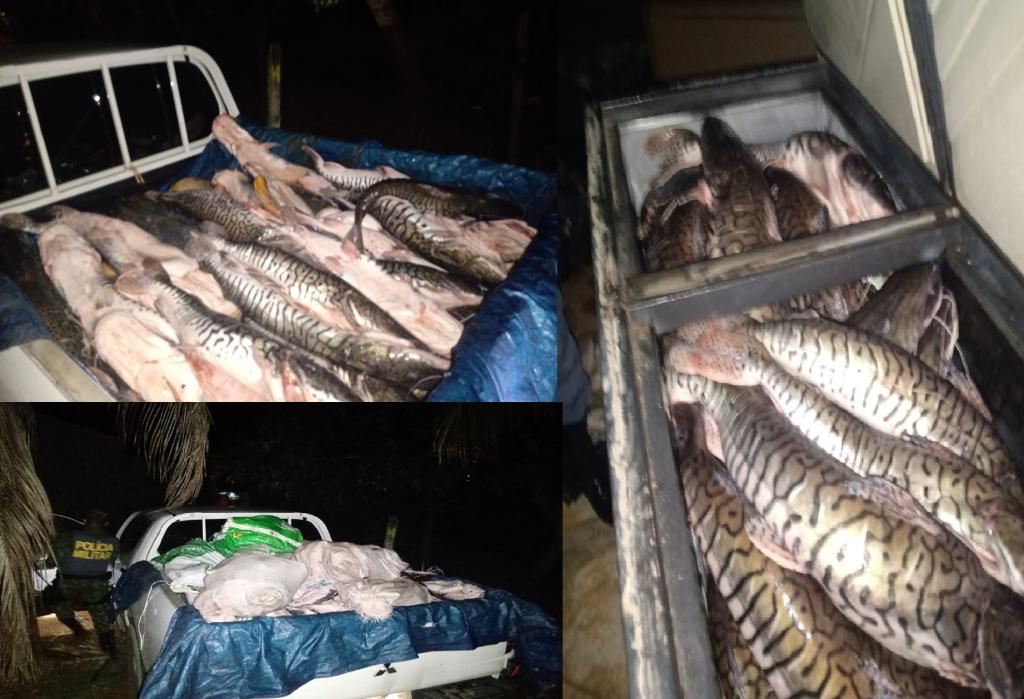 Polícia apreende 450 quilos de pescado em Rondonópolis
