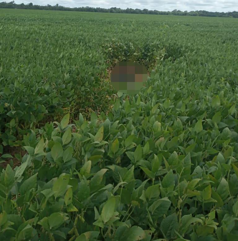 Corpo é encontrado em avançado estado de decomposição em Ipiranga do Norte