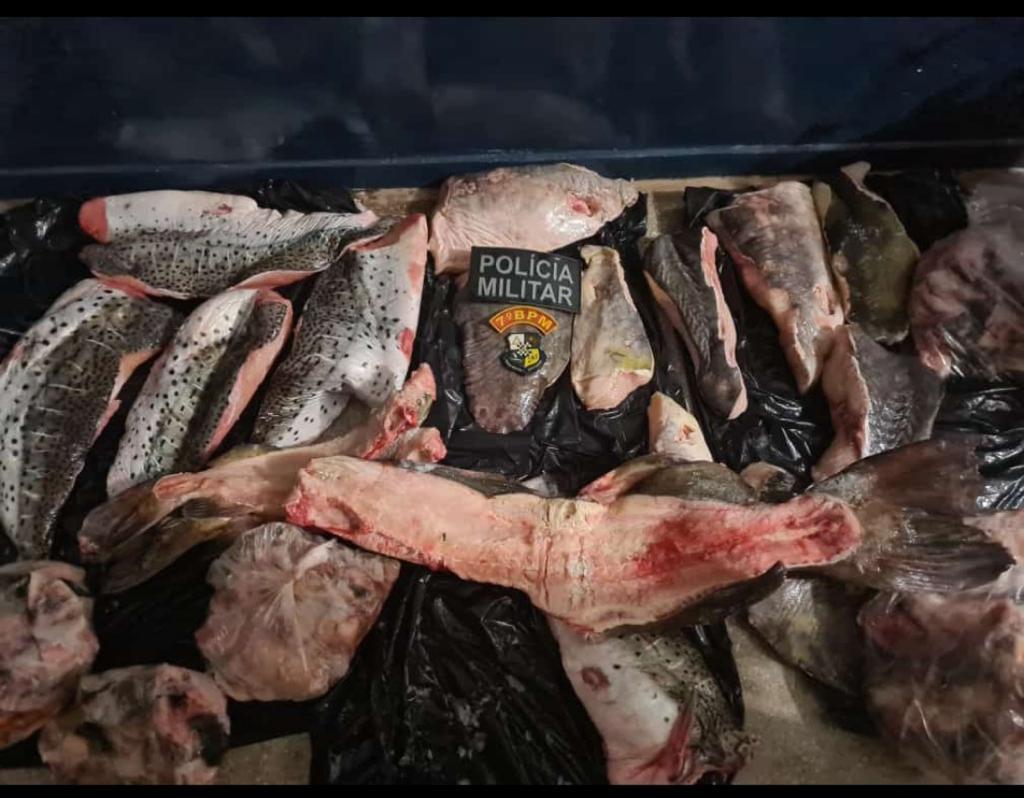 Pai e filho são pegos com 70 quilos de pescado irregular em Rosário Oeste