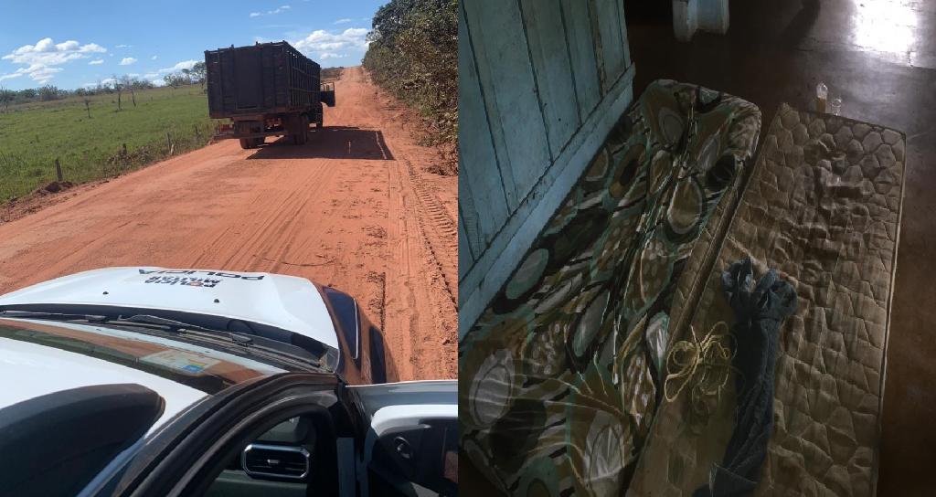 Polícia recupera caminhões com carga de bois roubados em MT