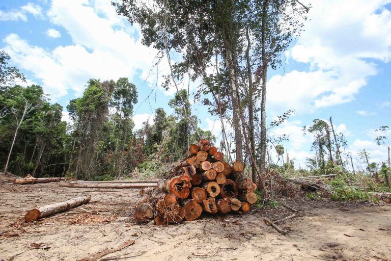Projeto destina recursos para combate ao desmatamento e teste de vacinas contra Covid-19