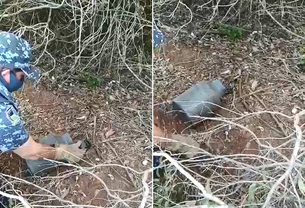 Agentes capturam serpente em forro de casa em Botucatu