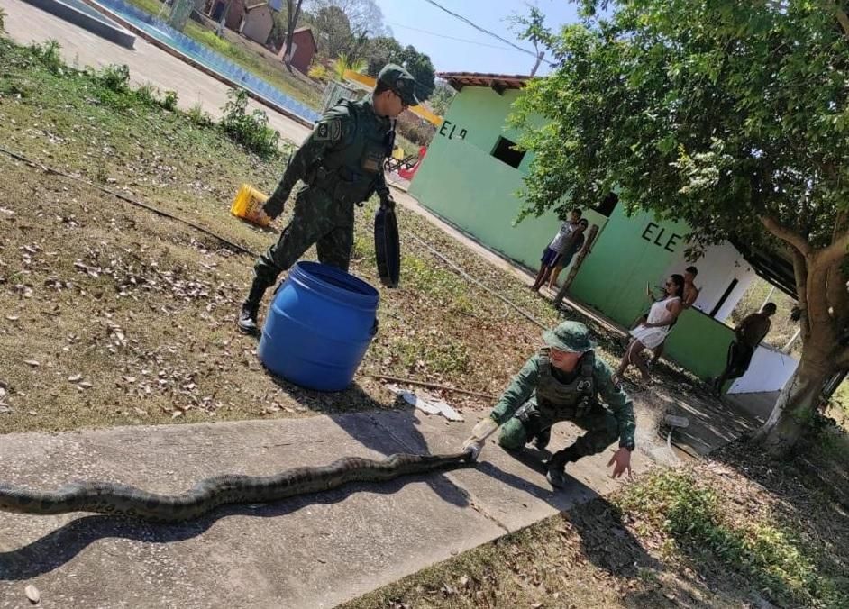 Sucuri de 4 metros é encontrada dentro de tanque pesqueiro