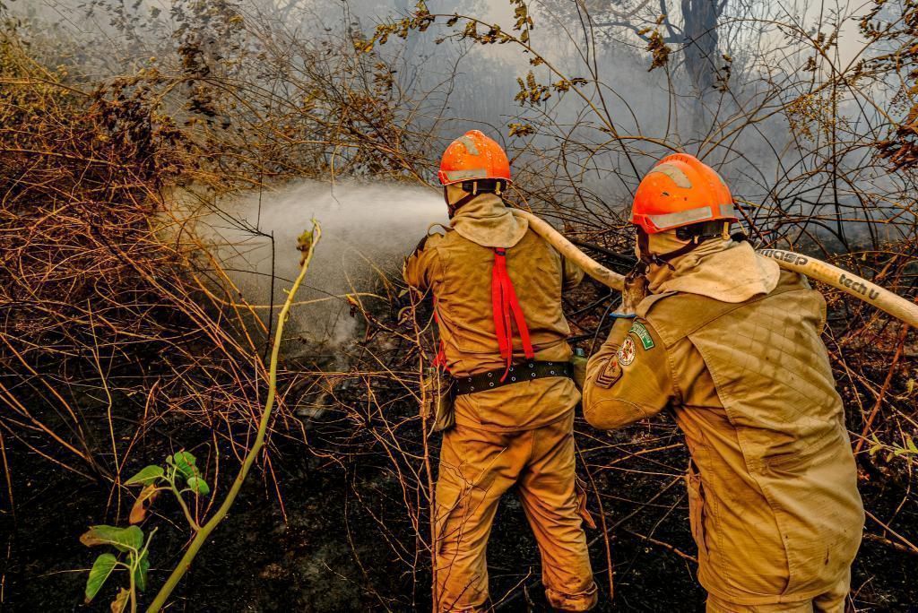 Mato Grosso registra a segunda maior área queimada do país em 2024