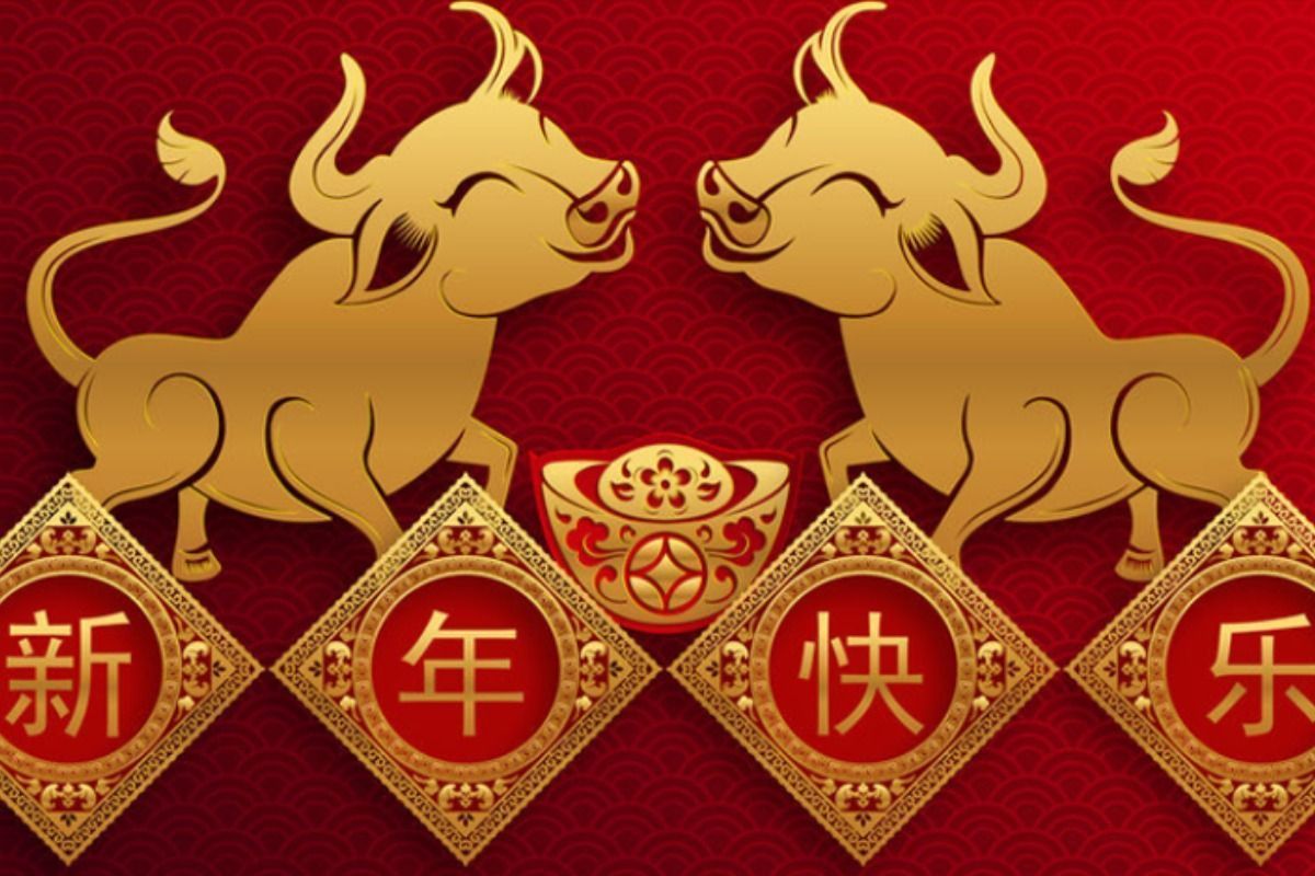 Horóscopo chinês 2021: previsões para o ano novo do boi