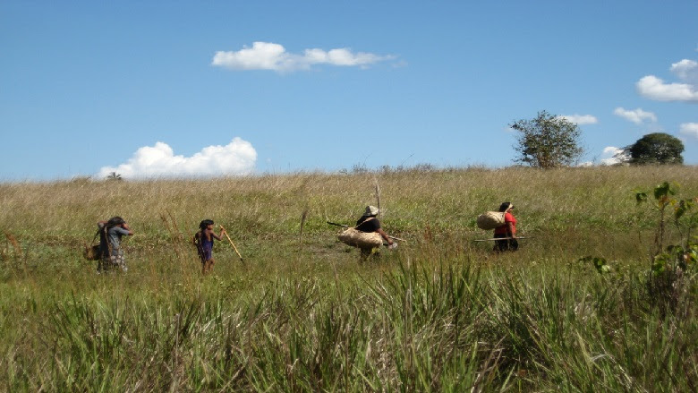 Projetos fortalecem segurança alimentar em territórios indígena de Mato Grosso