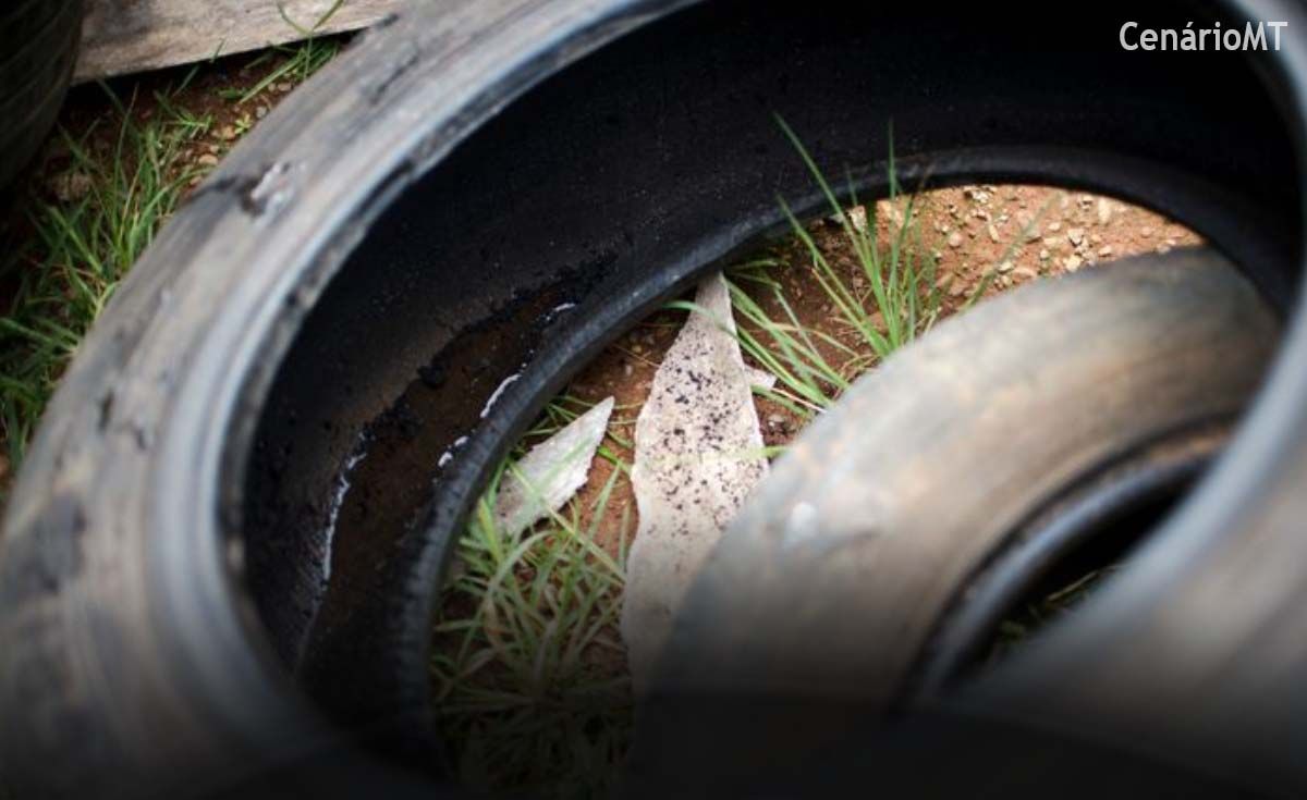 Novos casos de dengue levam Distrito Federal a decretar emergência