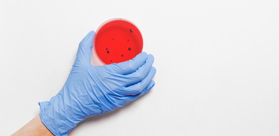 Oito perguntas essenciais sobre a variante omicron