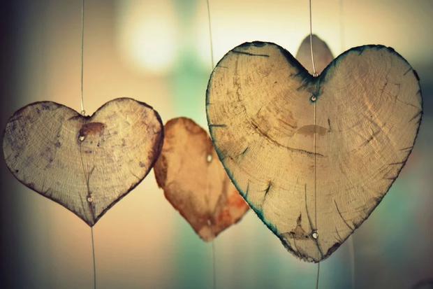 Descubra quais animais chineses do zodíaco serão mais compatíveis no amor (Foto: Pixabay)