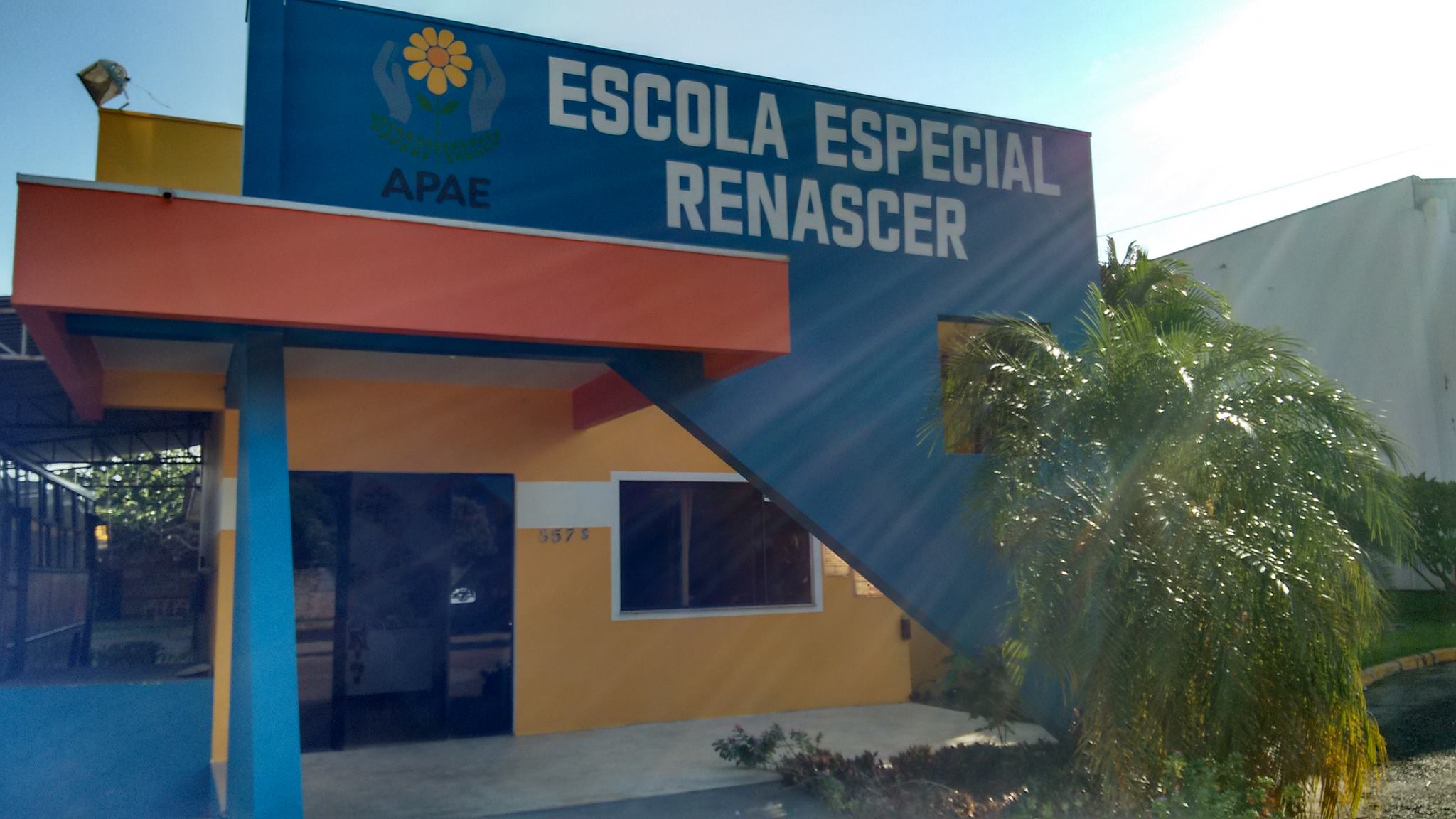 APAE de Lucas do Rio Verde cria comissão para viabilizar construção de quadra esportiva para a instituição