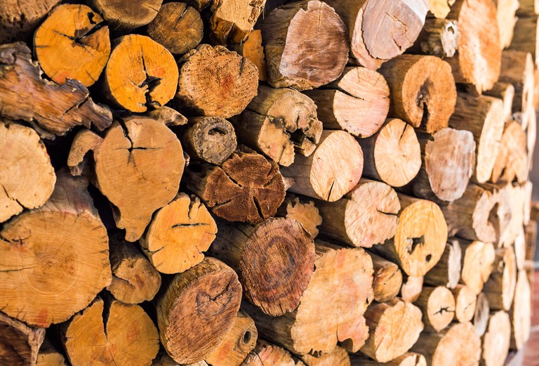 Entidades discutem medidas para desburocratizar exportações do setor florestal de Mato Grosso