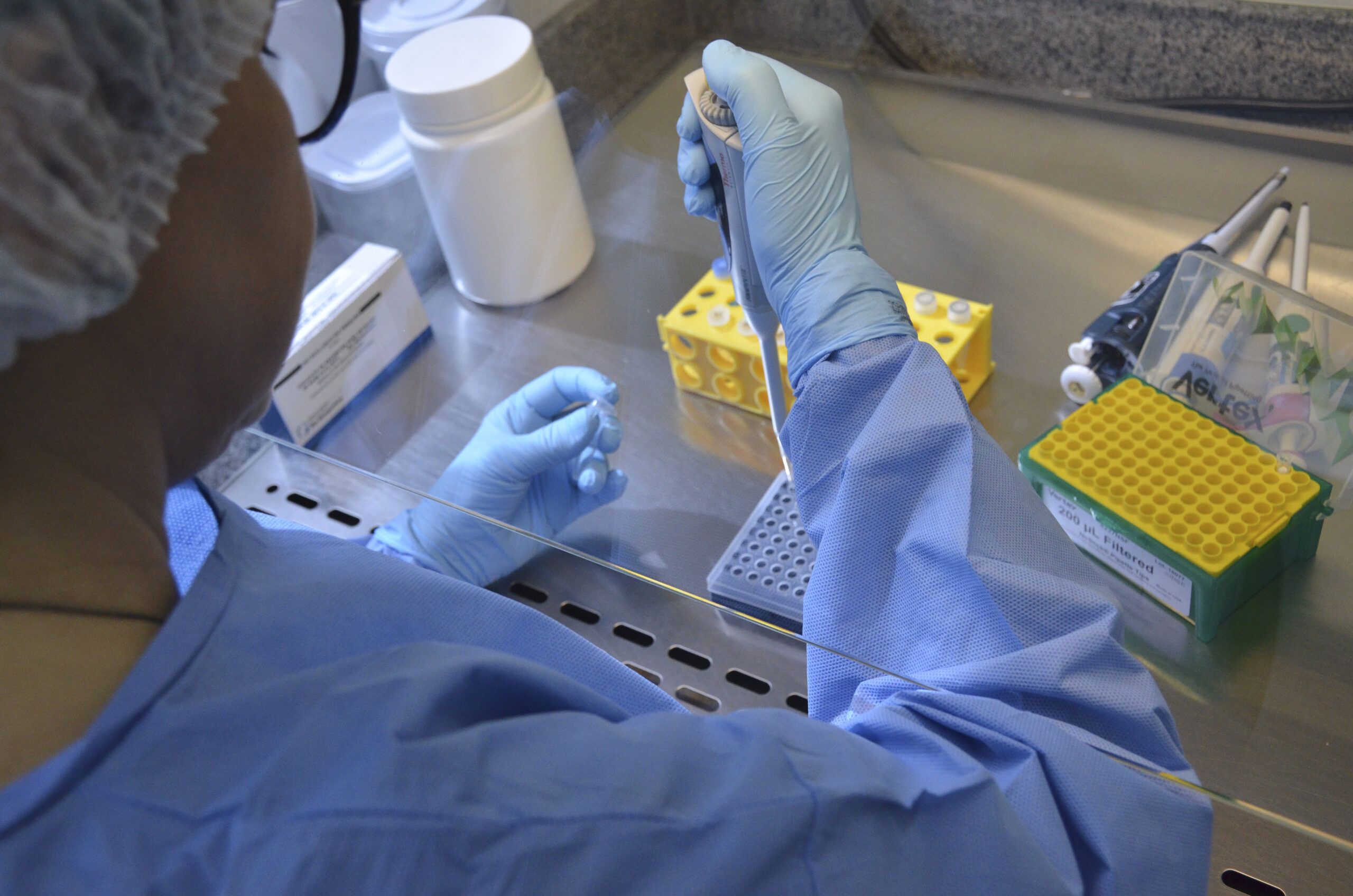 Plataforma reúne dados genômicos de bactérias multirresistentes