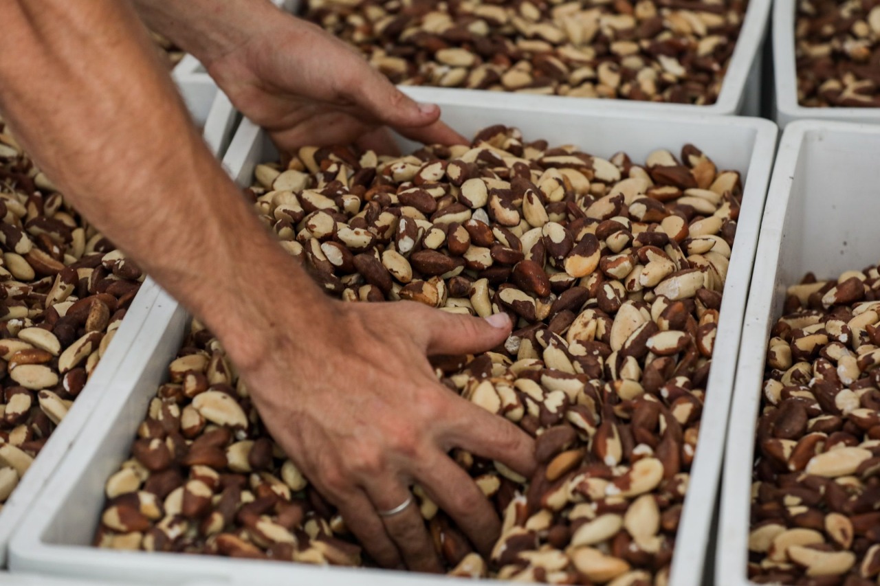 REM MT recebe 88 Manifestações de Interesse para fomentar a Agricultura Familiar em Mato Grosso