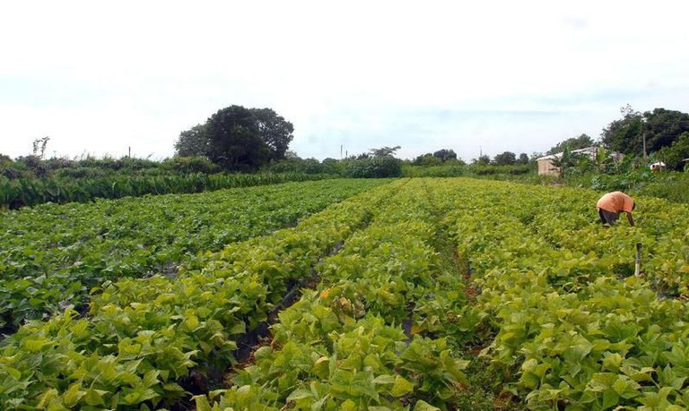 governo federal abre credito de r 1 2 bilhao para agricultores familiares afetados pela estiagem