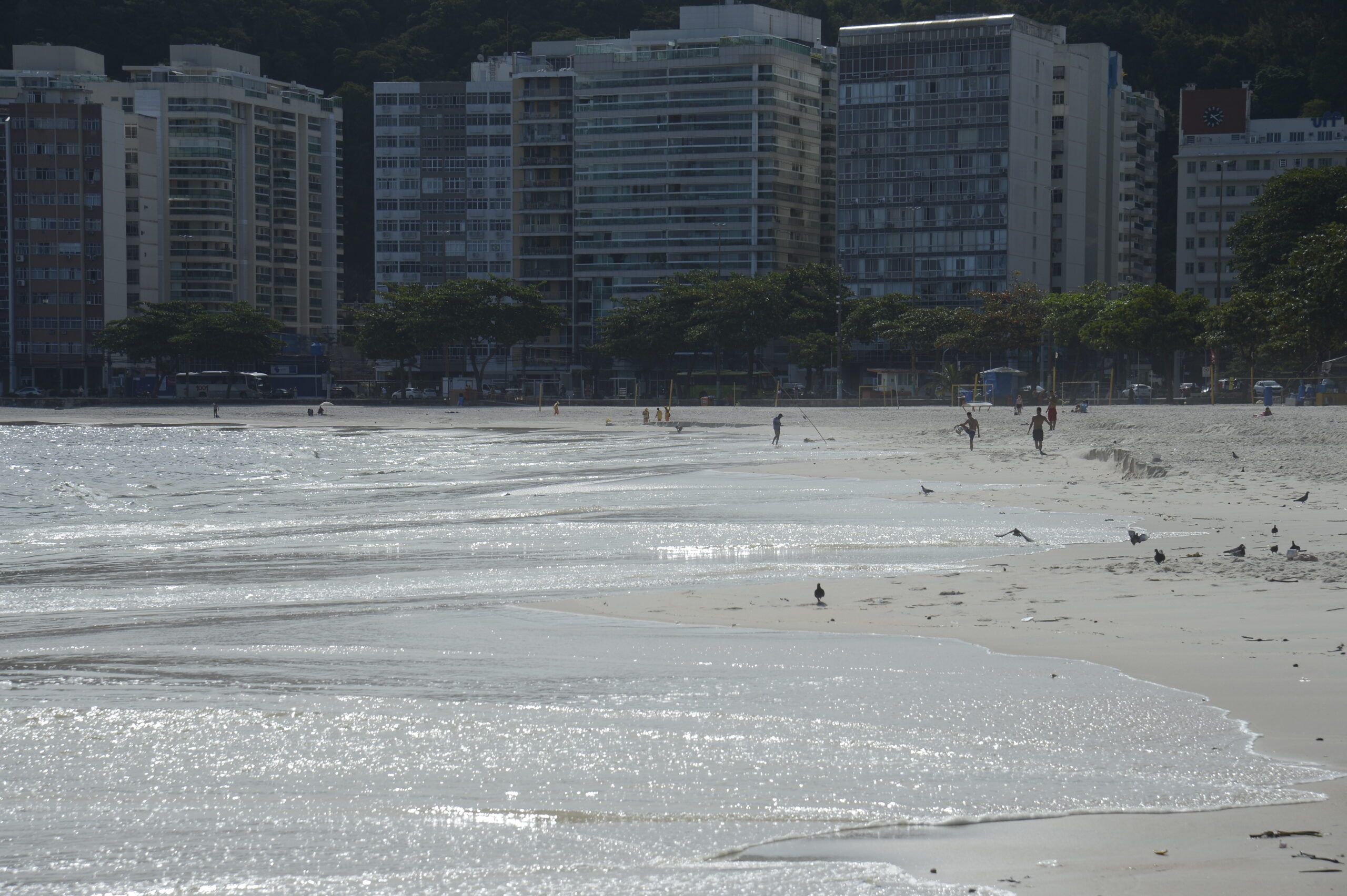 Pesquisa da UFF comprova existência de superbactérias nas praias