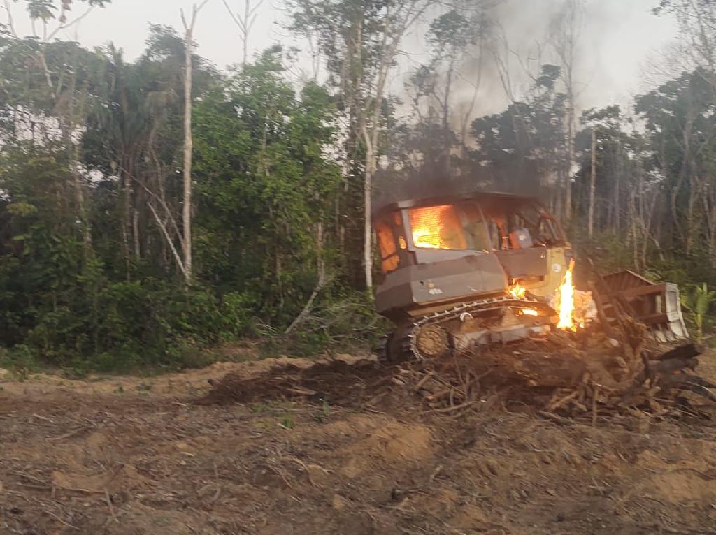 operacao contra desmatamento flagra atividade agricola em area embargada no norte do estado