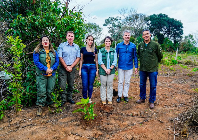 Projetos ajudam na conservação e recuperação do Pantanal