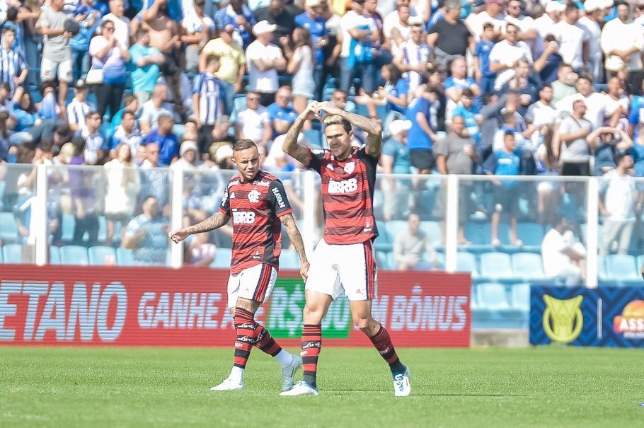 brasileirao assai de virada flamengo vence o avai fora de casa
