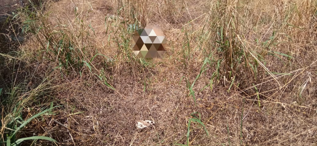 Corpo em avançado estado de decomposição é encontrado por trabalhadores de obra em Lucas do Rio Verde
