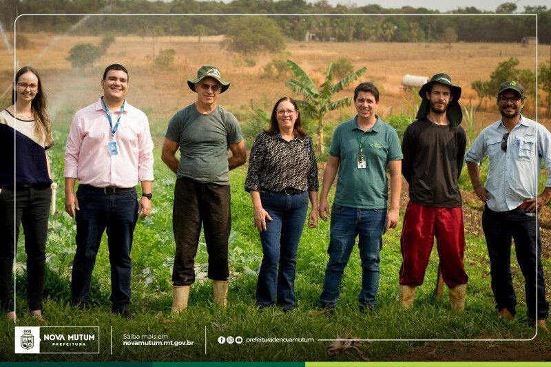 Produtores da agricultura familiar recebem consultoria sobre hidroponia e produção orgânica