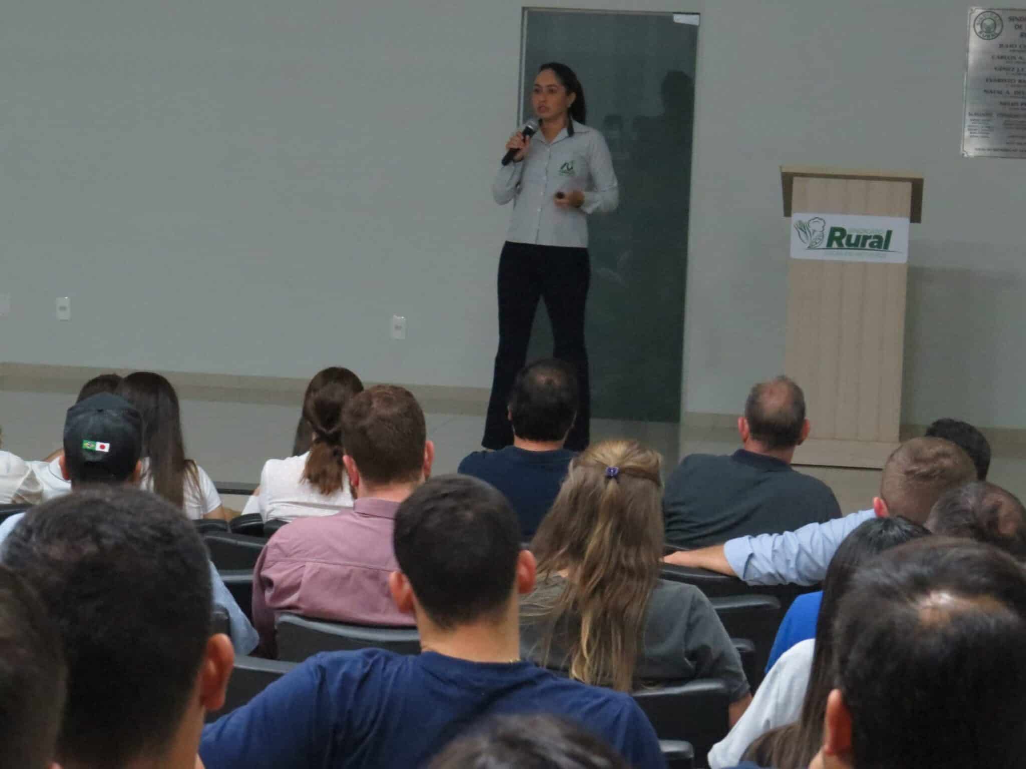 Conselho Agro lança campanha ‘Outubro sem tiguera de milho’ e apresenta estudo sobre a cigarrinha do milho