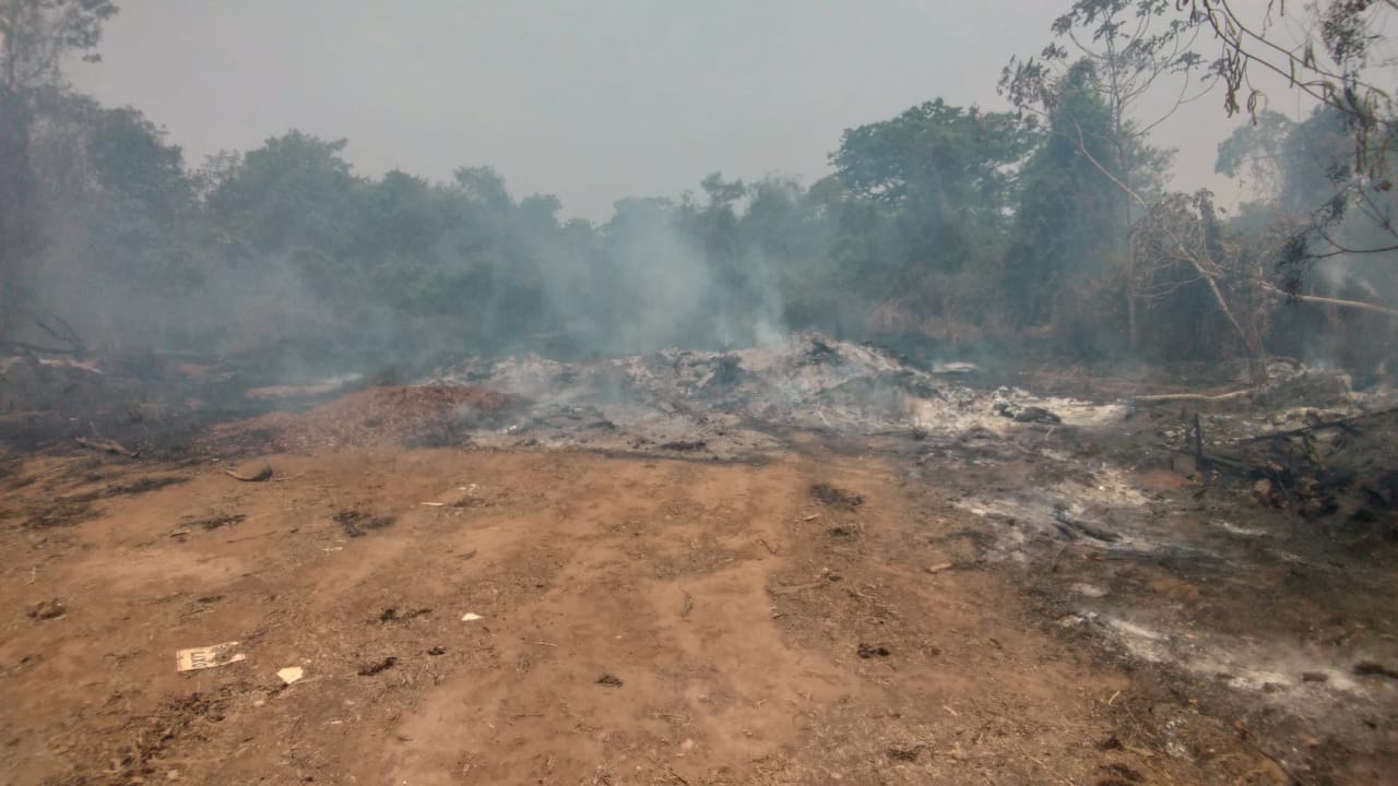 Brigada mista combate e controla incêndio florestal em fazenda de Lucas do Rio Verde