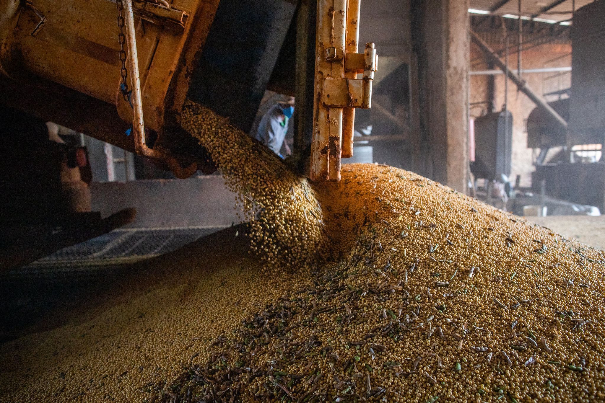 producao agricola em 2021 bate novo recorde e atinge r 743 3 bilhoes