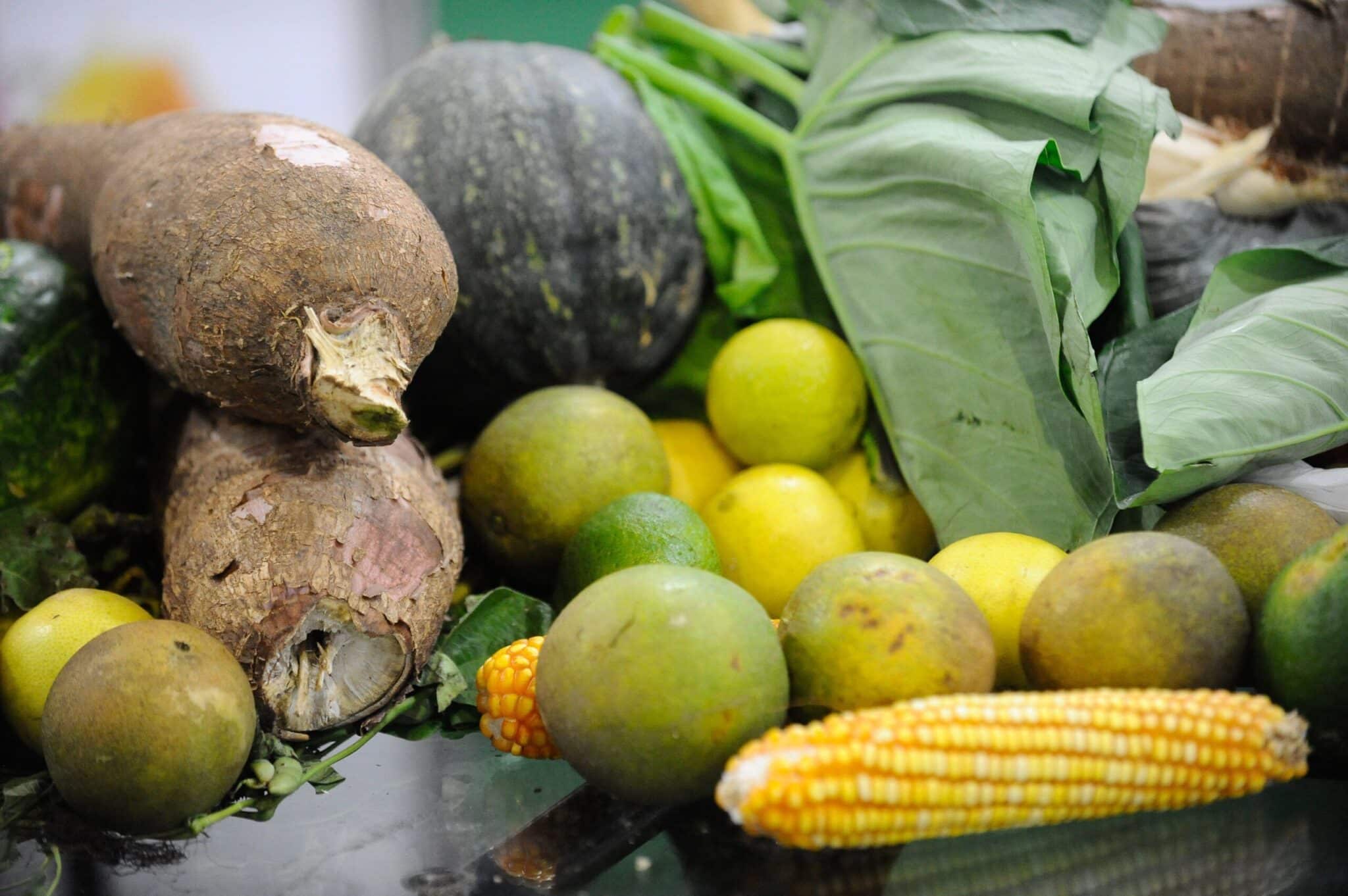 Mata Atlântica produz 50% dos alimentos consumidos no país, diz estudo