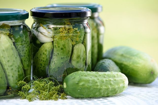 como fazer picles de pepino
