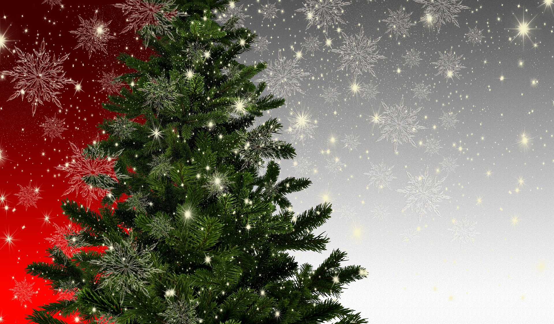 A história por trás da árvore de Natal: como nasceu esta tradição?