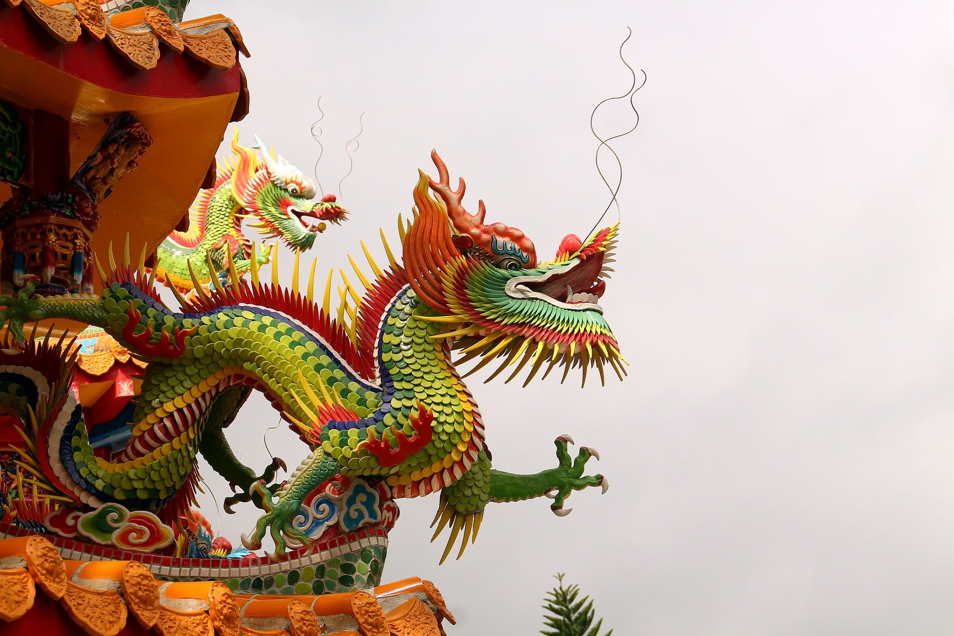 Horóscopo chinês: Previsões para a terceira semana de dezembro
