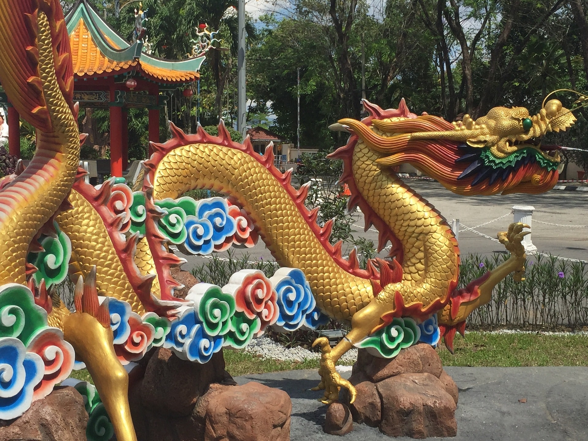 Horóscopo chinês de hoje 11 de dezembro: as previsões para cada signo do zodíaco oriental