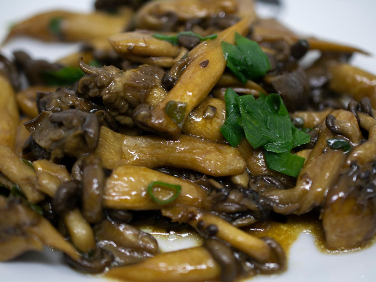 Como fazer cogumelos: Uma receita vegana muito deliciosa!