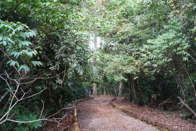 Lucas do Rio Verde: Câmara aprova projeto que transforma Córrego Lucas em Parque Natural