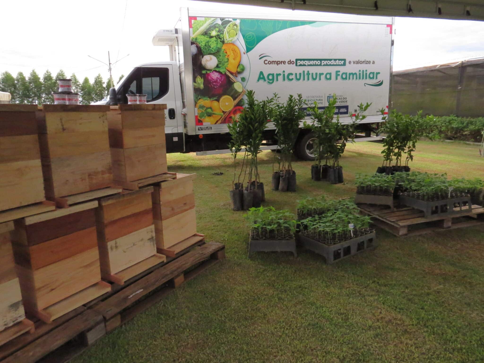 Para fortalecimento da agricultura familiar, município repassa mudas de árvores frutíferas e equipamentos para apicultura