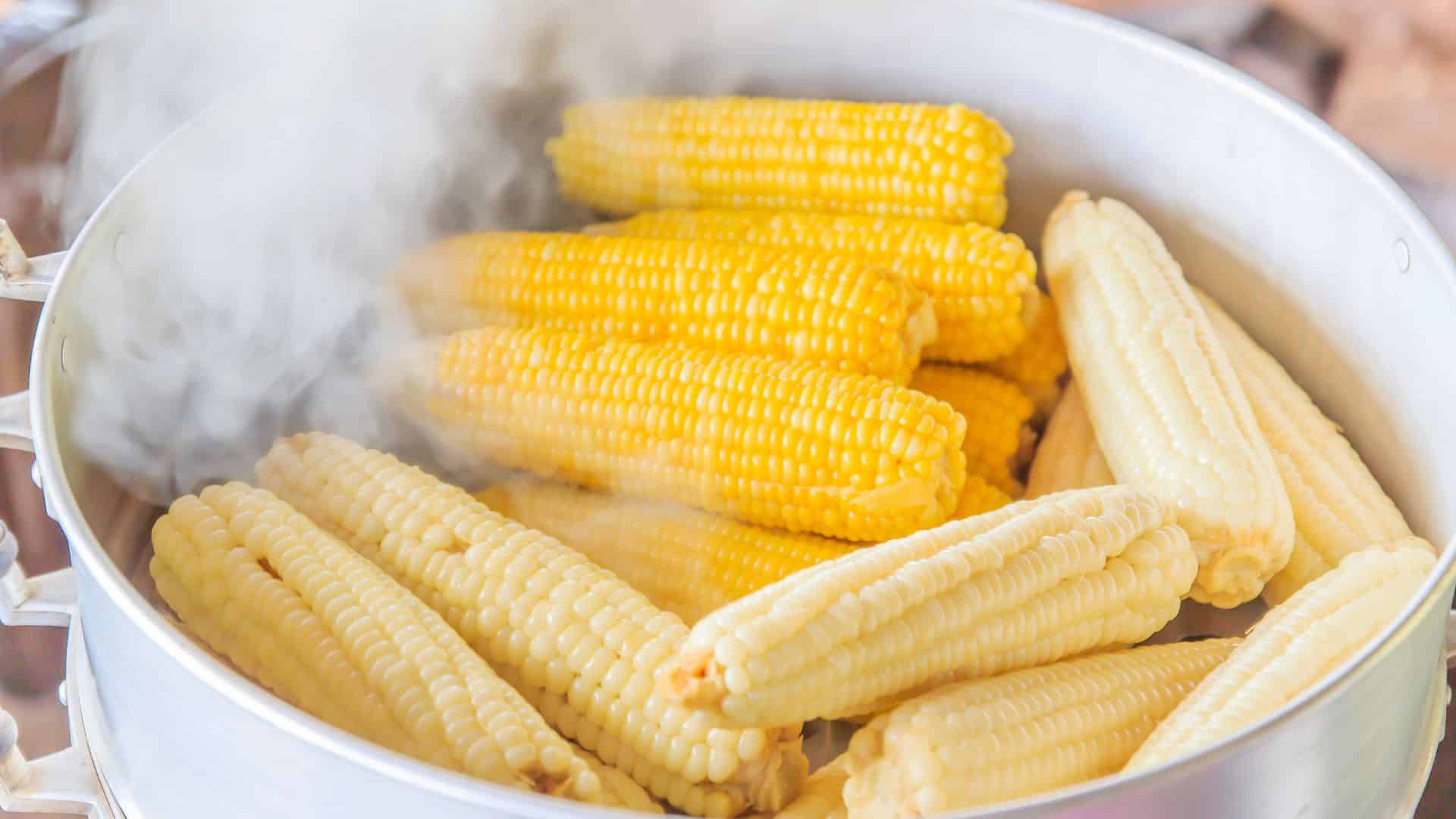 Como fazer milho cozido? Uma delícia para o lanche de hoje!