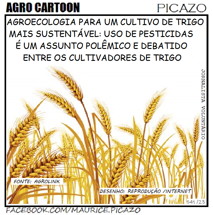 Agro Cartoon: Agroecologia e o cultivo de trigo no brasil 1 Agro 3